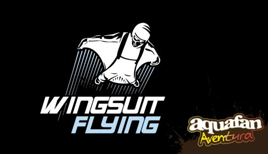 WINGSUIT FLYING