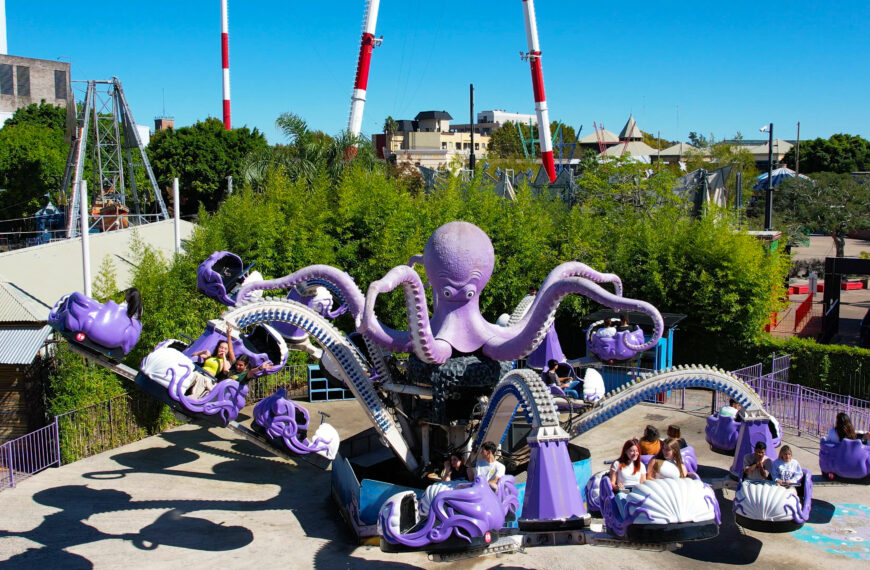 PULPO
